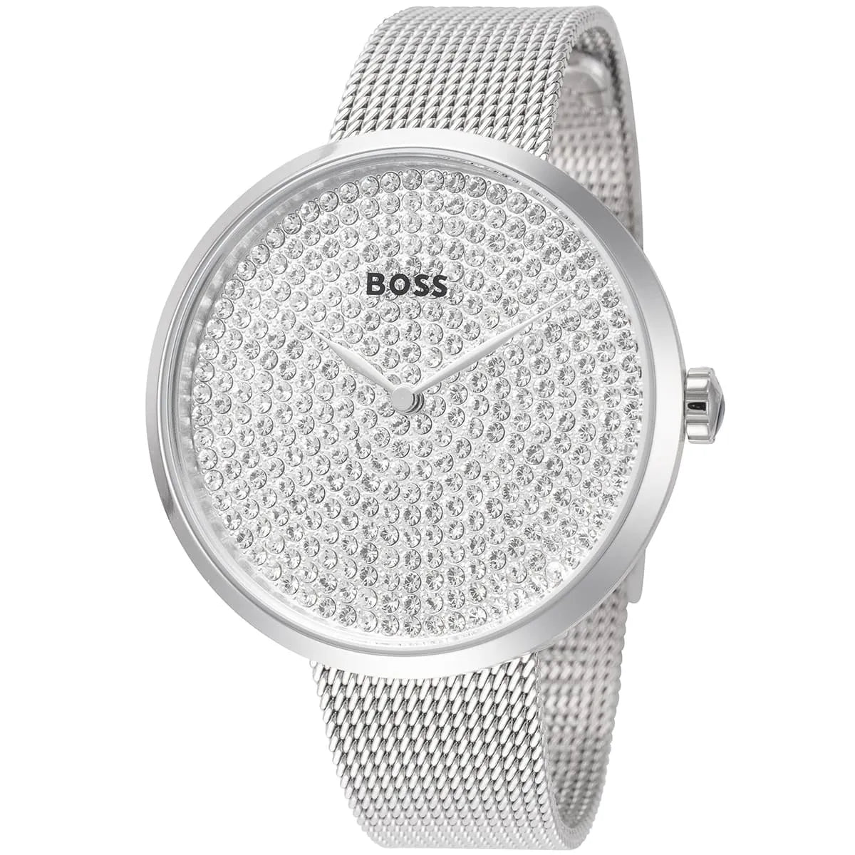 Hugo Boss Watch 1502657
