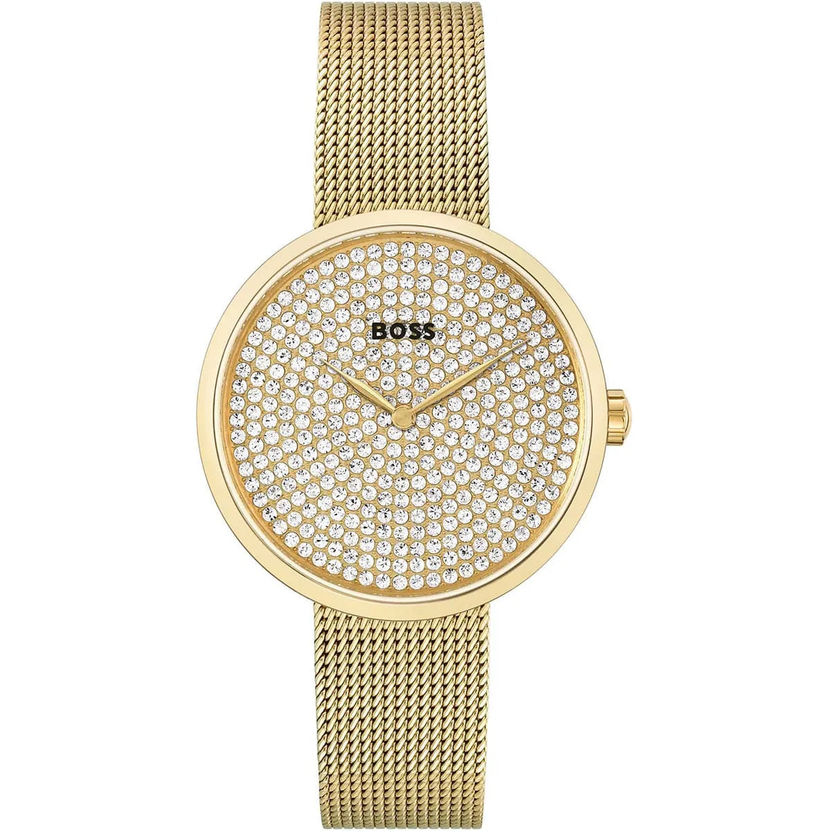 Hugo Boss Watch 1502659