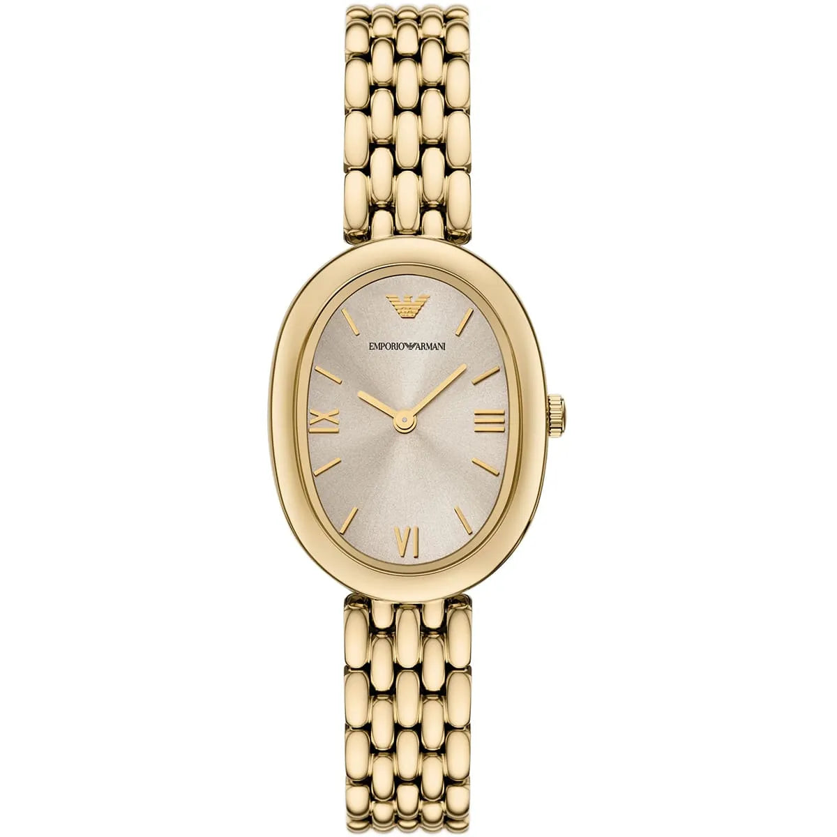 Emporio Armani Watch AR11707