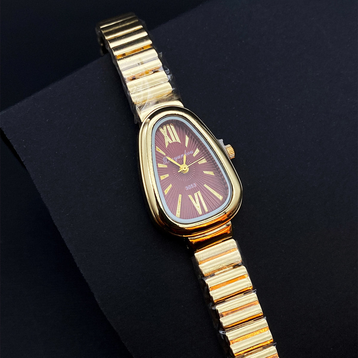 Caryino Watch